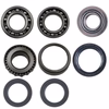 Kawasaki Bayou Rear Differential Bearing & Seal Kit 300 2X4 Questions & Answers
