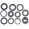 Yamaha Rear Differential Bearing & Seal Kit Kodiak 400 / 450 / Wolverine Questions & Answers