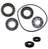 Kawasaki Teryx Rear Differential Bearing & Seal Kit 750 Questions & Answers